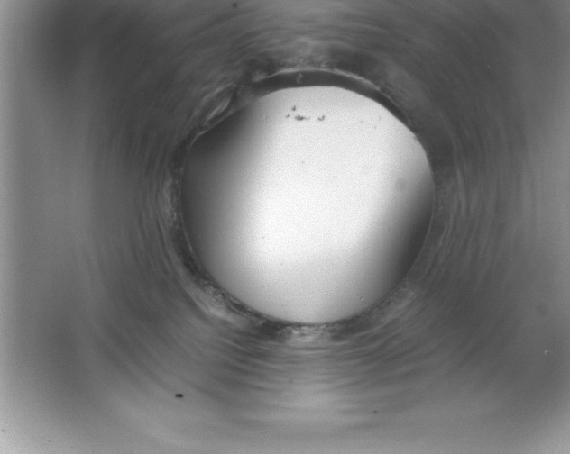 X0000064750088200603031744