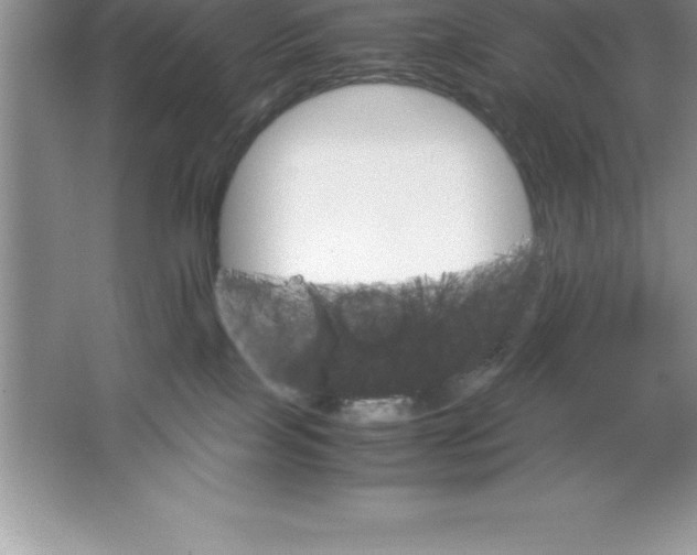 X0000064750089200603031744