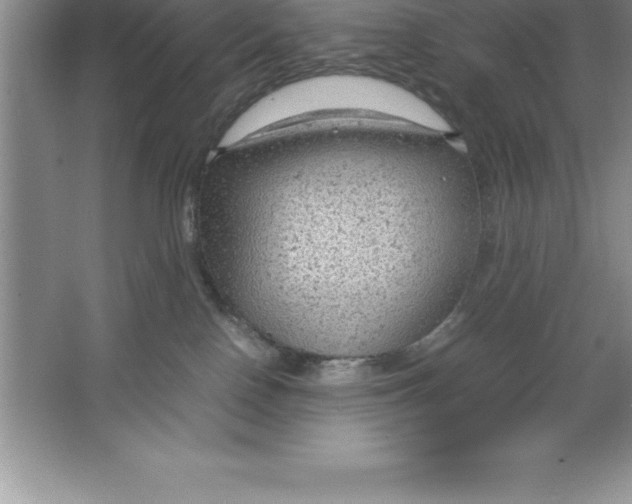 X0000064750090200603031744