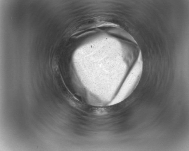 X0000064750091200603031744