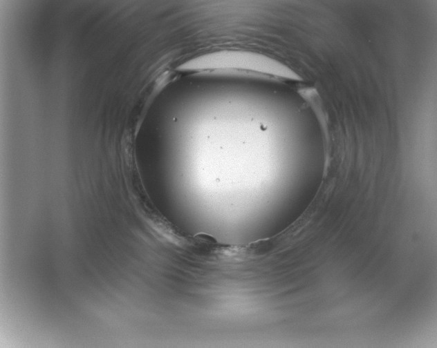 X0000064750092200603031745