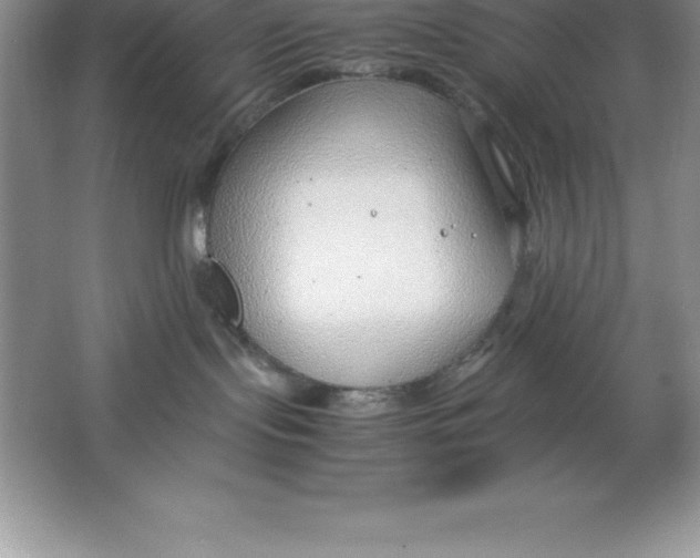 X0000064750095200603031745