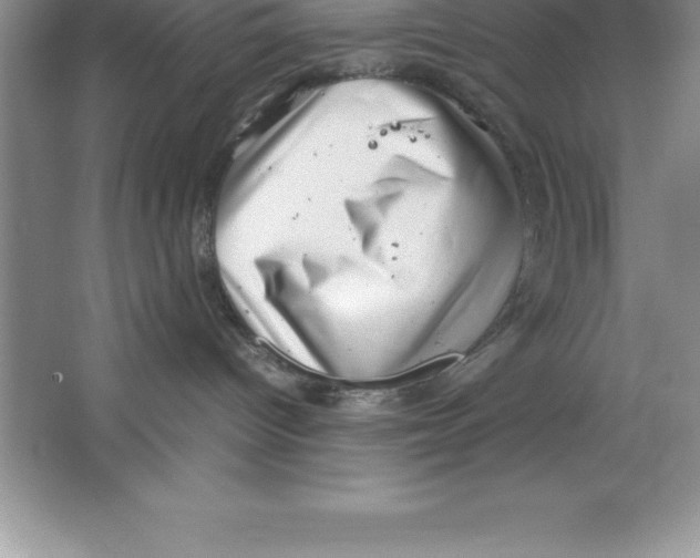 X0000064750096200603031745