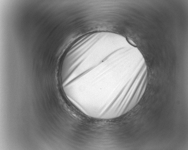 X0000064750098200603031744