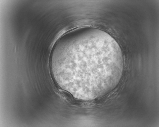 X0000064750099200603031744