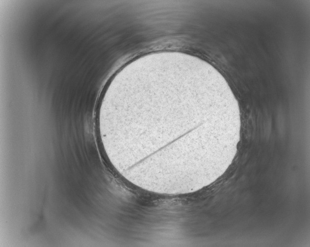 X0000064750100200603031744