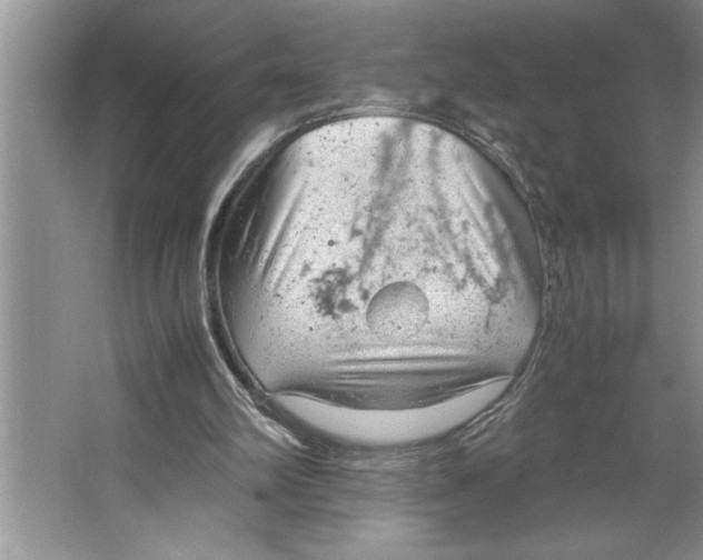 X0000064750102200603031744