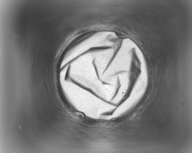 X0000064750103200603031744