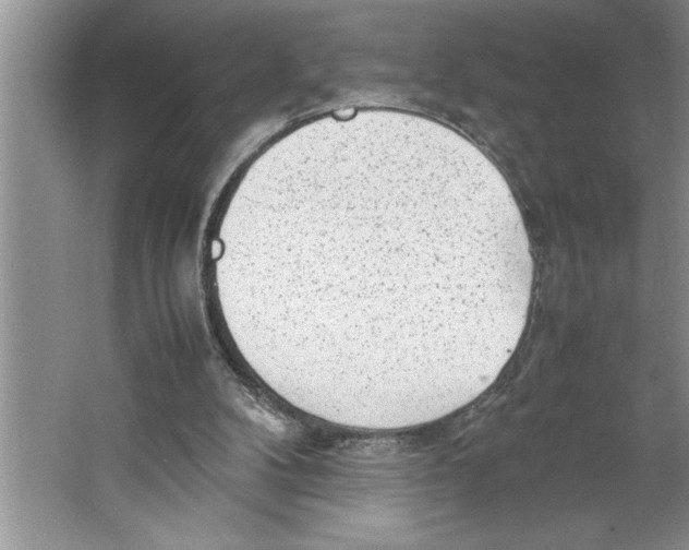 X0000064750104200603031744