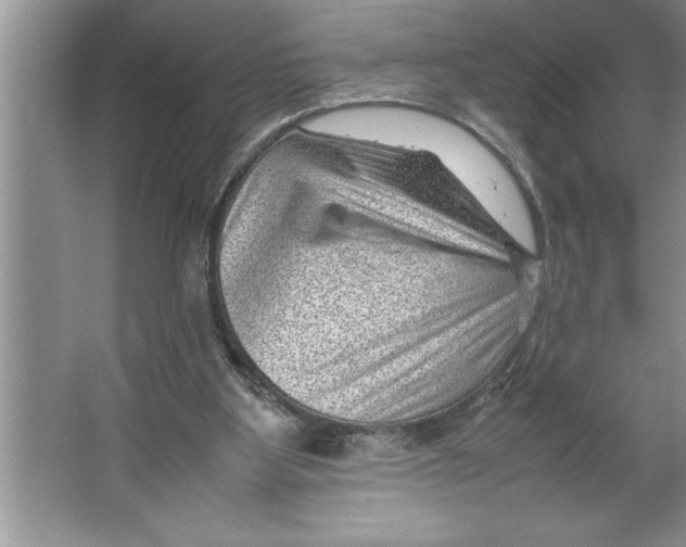 X0000064750107200603031744