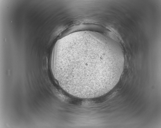 X0000064750109200603031744