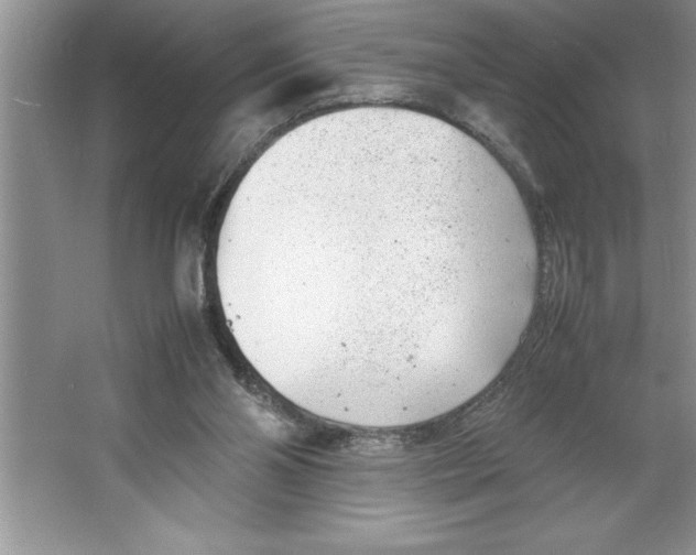 X0000064750110200603031744