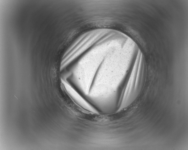 X0000064750113200603031743