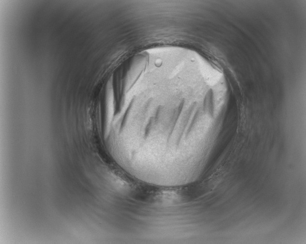 X0000064750114200603031743