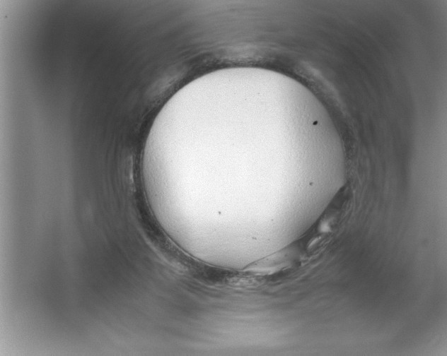 X0000064750115200603031743