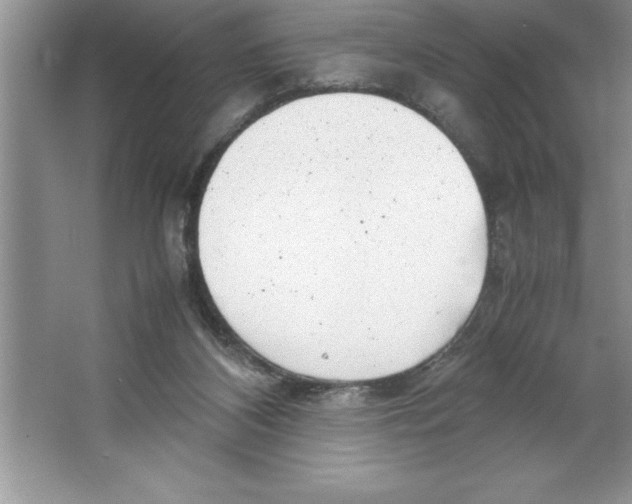 X0000064750116200603031743