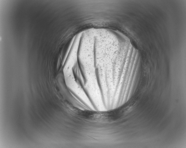 X0000064750117200603031743