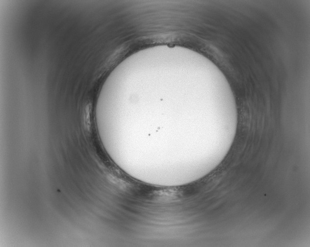 X0000064750118200603031743