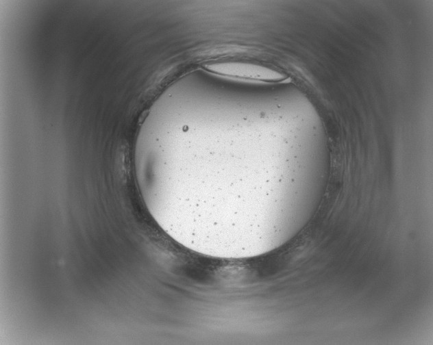 X0000064750119200603031743