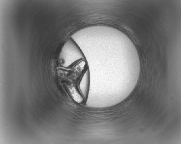 X0000064750121200603031743