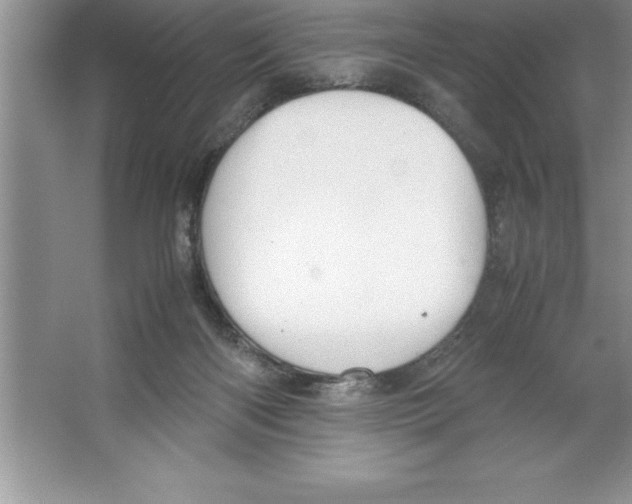 X0000064750122200603031743