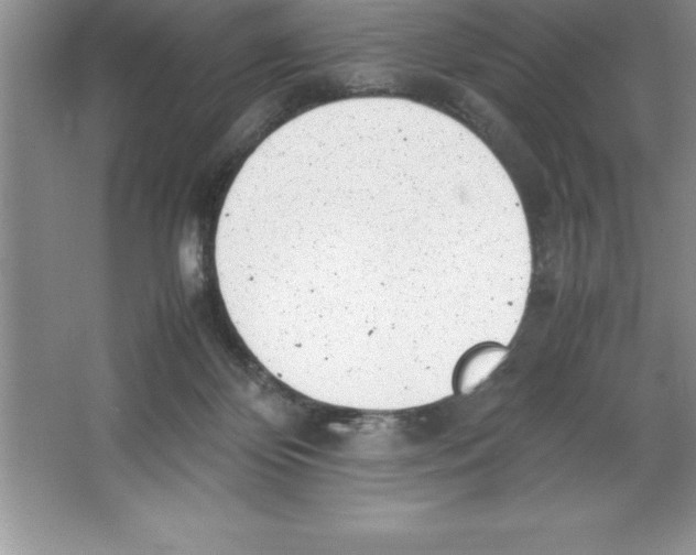 X0000064750124200603031743