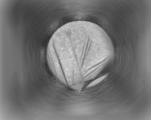 X0000064750127200603031743