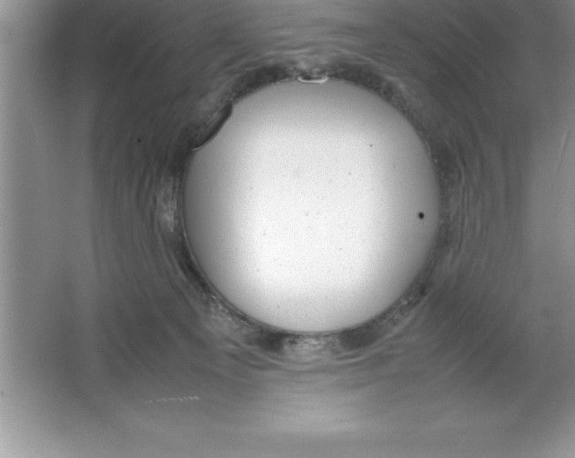 X0000064750129200603031743