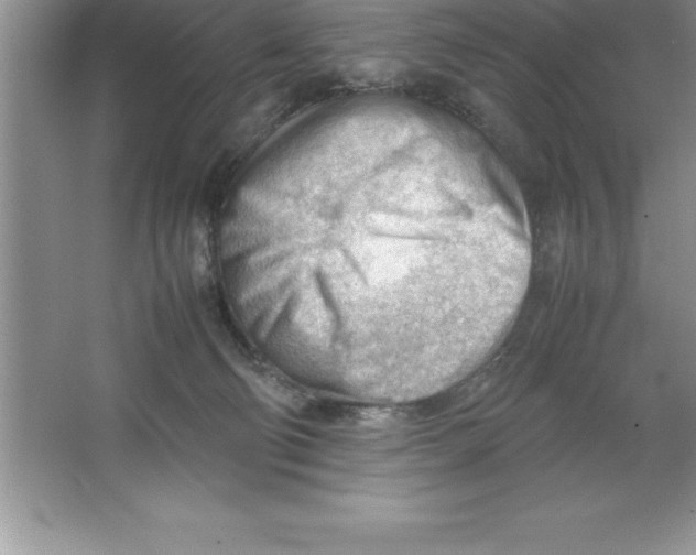 X0000064750130200603031743