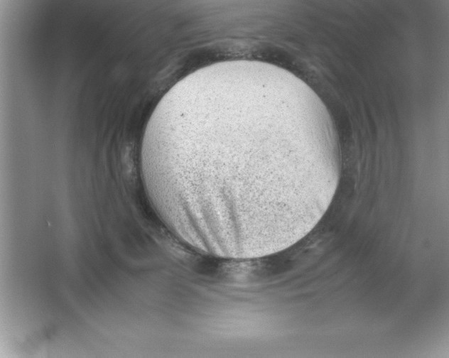 X0000064750131200603031743