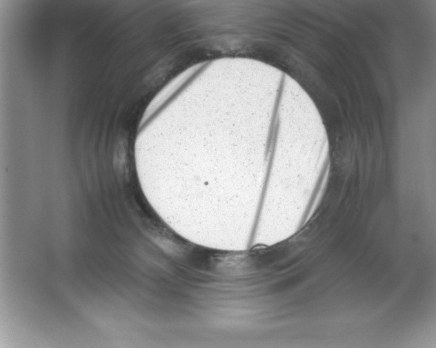 X0000064750132200603031743