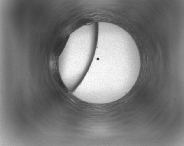 X0000064750137200603031743