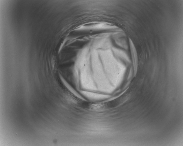 X0000064750139200603031743