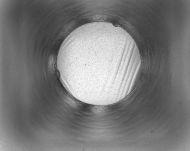 X0000064750142200603031743