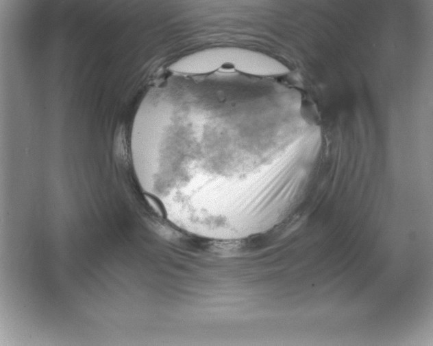 X0000064750143200603031743