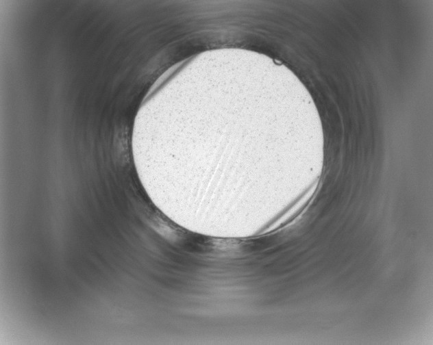 X0000064750144200603031743