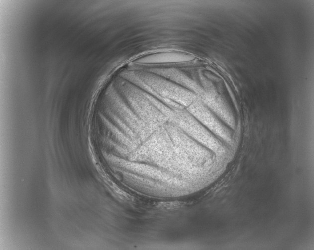 X0000064750145200603031742