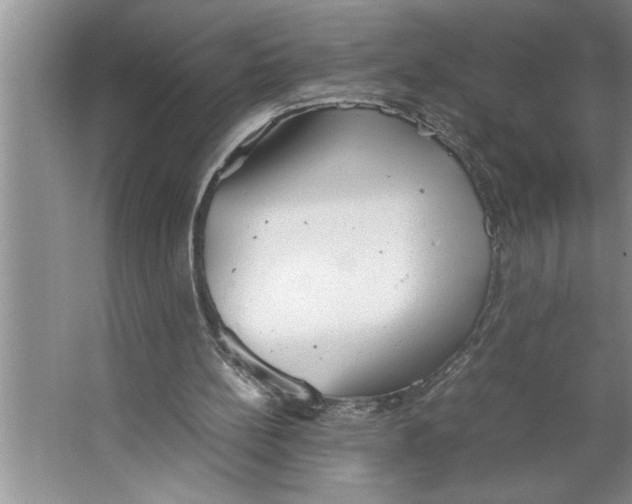 X0000064750148200603031742