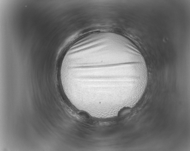 X0000064750149200603031742