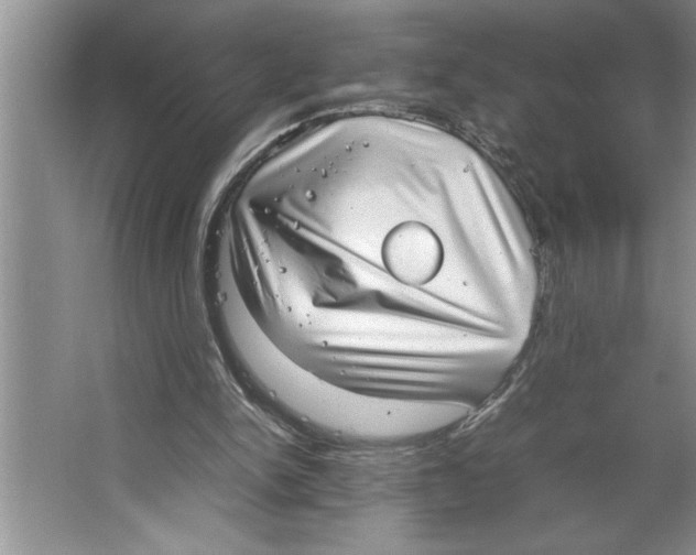 X0000064750150200603031742