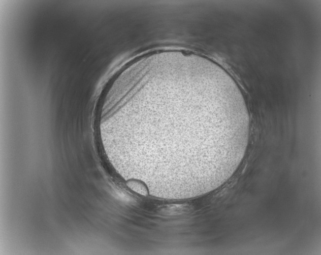 X0000064750151200603031742