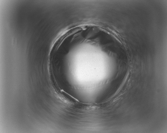 X0000064750152200603031742