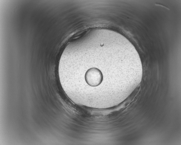 X0000064750154200603031742