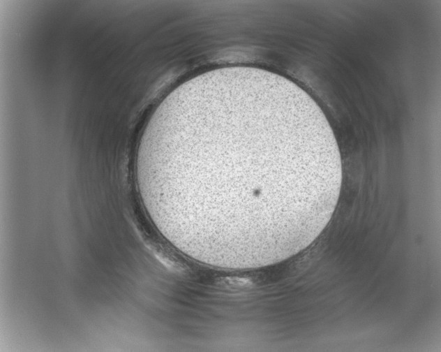 X0000064750159200603031742