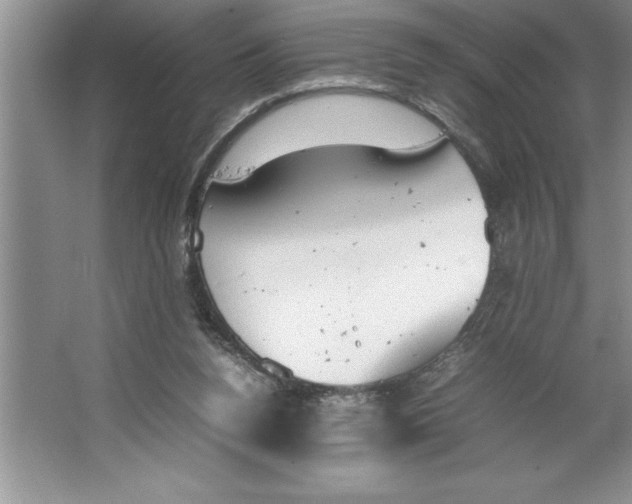 X0000064750160200603031742