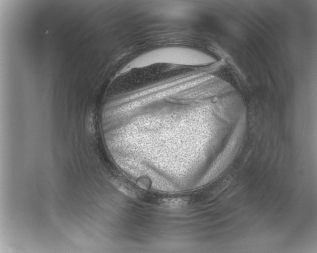 X0000064750161200603031742