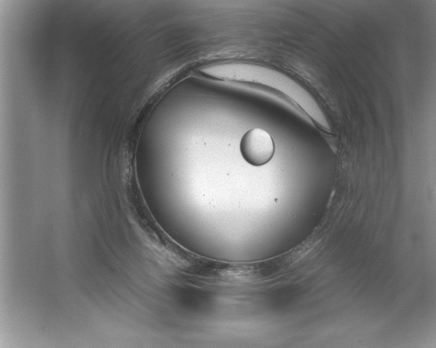 X0000064750164200603031742