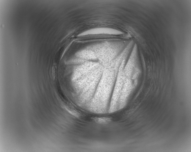 X0000064750165200603031742