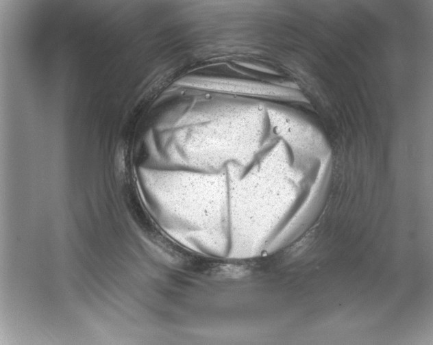 X0000064750166200603031743