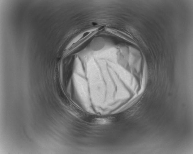 X0000064750167200603031743